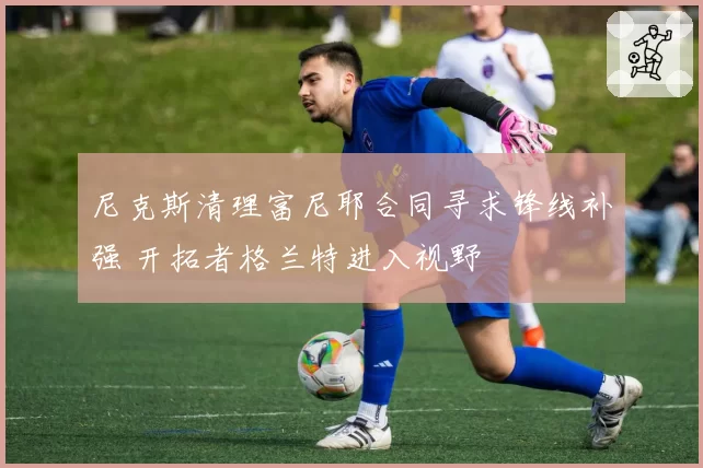 尼克斯清理富尼耶合同寻求锋线补强 开拓者格兰特进入视野