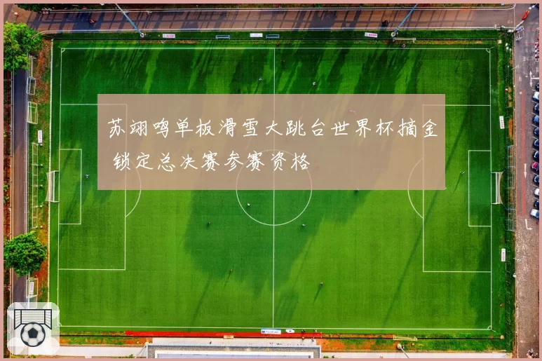 苏翊鸣单板滑雪大跳台世界杯摘金 锁定总决赛参赛资格